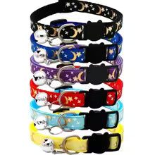 collier de chat luminescent