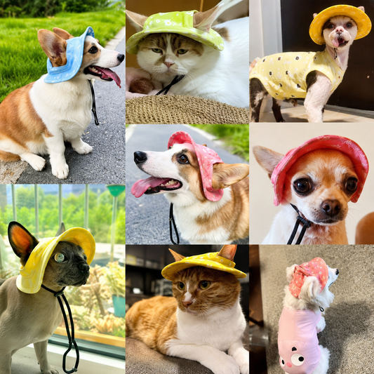 chapeaux de soleil animaux