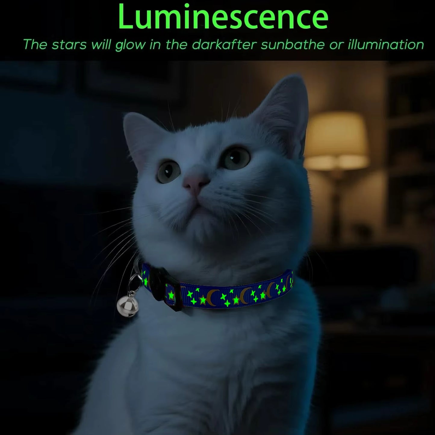 collier de chat luminescent